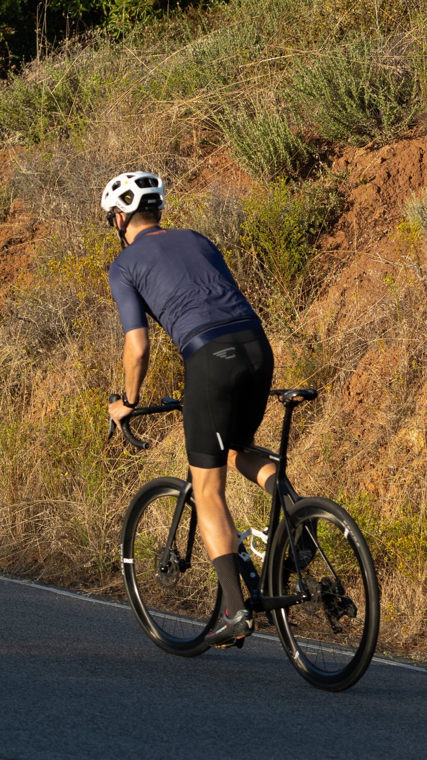 Elevatus Men's Pro Bib Shorts